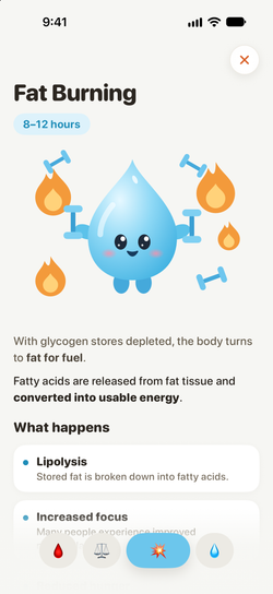 A short article explaining the current fasting phase